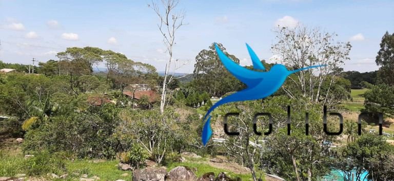 Imagem Chácara com 2 Quartos à Venda, 2.030 m² em Ximbuva - Agudos Do Sul Imagem Chácara com 2 Quartos à Venda, 2.030 m² em Ximbuva - Agudos Do Sul