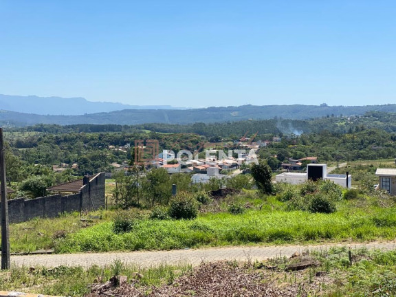 Imagem Terreno à Venda, 434 m² em Mina Do Mato - Criciúma