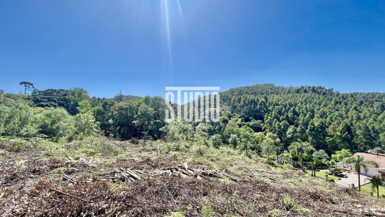 Imagem Terreno à Venda, 11.990 m² em Operário - Barão Imagem Terreno à Venda, 11.990 m² em Operário - Barão