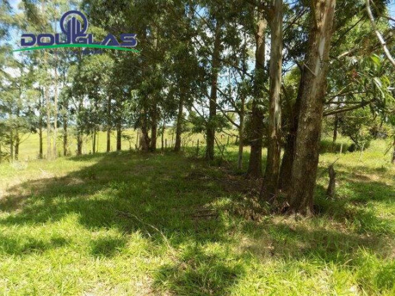 Imagem Chácara com 2 Quartos à Venda, 190.000 m² em Viamão