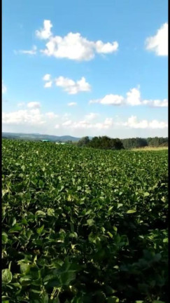 Imagem Fazenda à Venda, 363 m² em Rural - Ortigueira
