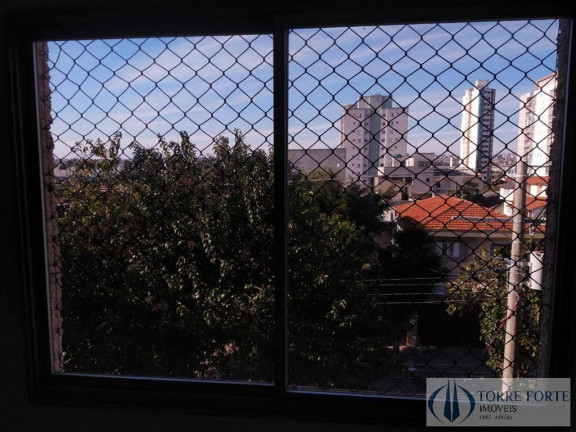 Imagem Apartamento com 3 Quartos à Venda, 67 m² em Vila Antonieta - São Paulo Imagem Apartamento com 3 Quartos à Venda, 67 m² em Vila Antonieta - São Paulo