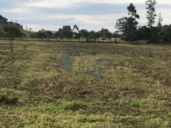 Imagem Fazenda à Venda, 120.000 m² em Jacaré - Torres