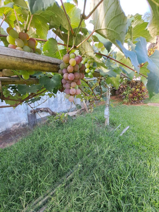Imagem Imóvel com 1 Quarto à Venda, em Jerivá - Boituva Imagem Imóvel com 1 Quarto à Venda, em Jerivá - Boituva
