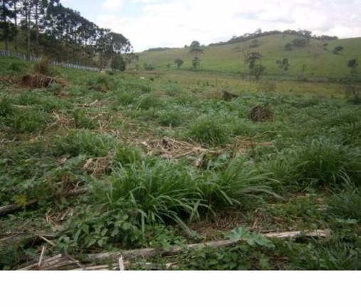 Imagem Fazenda à Venda, 90 m² em Jardim Das Colinas - São José Dos Campos Imagem Fazenda à Venda, 90 m² em Jardim Das Colinas - São José Dos Campos
