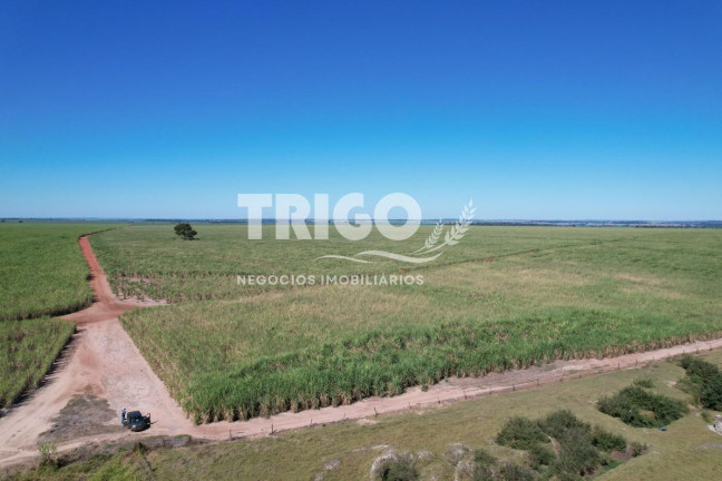 Imagem Fazenda à Venda, 72 m² em Zona Rural - Quirinópolis Imagem Fazenda à Venda, 72 m² em Zona Rural - Quirinópolis