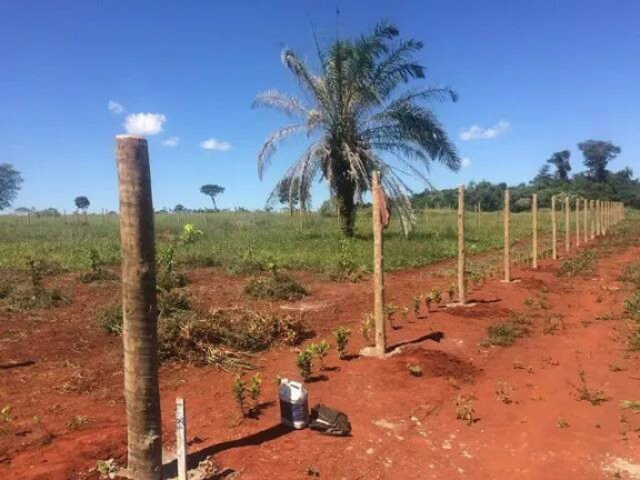 Imagem Chácara à Venda, 1.270 m² em Anápolis Imagem Chácara à Venda, 1.270 m² em Anápolis