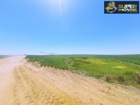 Imagem Imóvel com 3 Quartos à Venda, 21.000.000 m² em área Rural De Cachoeira Do Sul - Cachoeira Do Sul