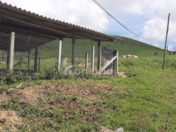 Imagem Fazenda à Venda, 600 m² em Pouso Alto - Natividade Da Serra Imagem Fazenda à Venda, 600 m² em Pouso Alto - Natividade Da Serra