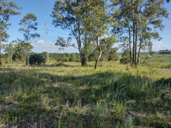Imagem Terreno à Venda, 20.000 m² em Alto Perequê - Arroio Do Padre