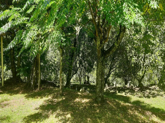 Imagem Imóvel com 2 Quartos à Venda, 11 m² em Linha Pirajá Baixa - Nova Petrópolis Imagem Imóvel com 2 Quartos à Venda, 11 m² em Linha Pirajá Baixa - Nova Petrópolis