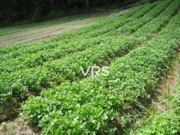 Imagem Fazenda à Venda, 476.155 m² em Sebastiana - Teresópolis Imagem Fazenda à Venda, 476.155 m² em Sebastiana - Teresópolis
