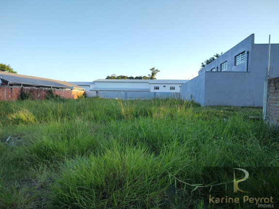 Imagem Terreno à Venda, 722 m² em Arroio Da Manteiga - São Leopoldo