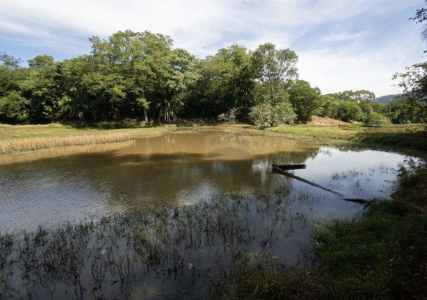 Imagem Fazenda à Venda, 82.000 m² em Centro - Acorizal Imagem Fazenda à Venda, 82.000 m² em Centro - Acorizal