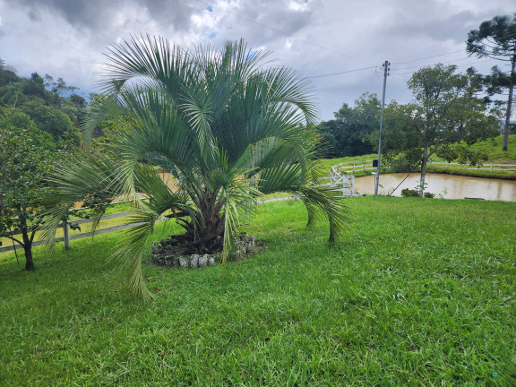 Imagem Imóvel com 3 Quartos à Venda, 77.860 m² em Zona Rural - Alfredo Wagner Imagem Imóvel com 3 Quartos à Venda, 77.860 m² em Zona Rural - Alfredo Wagner