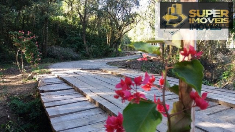 Imóvel com 1 Quarto à Venda, 30.000 m² em Cascata - Pelotas