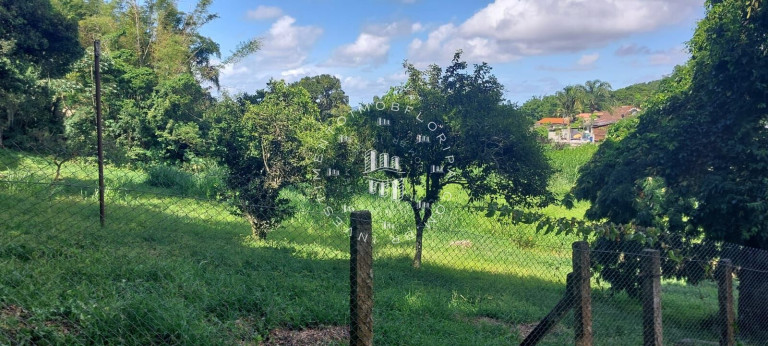 Imagem Imóvel com 1 Quarto à Venda, 66.000 m² em Sambaqui - Florianópolis Imagem Imóvel com 1 Quarto à Venda, 66.000 m² em Sambaqui - Florianópolis