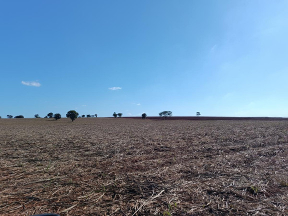 Imagem Chácara à Venda, 29 m² em Rural - Avaré