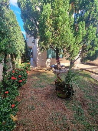 Imagem Sobrado com 3 Quartos à Venda, 312 m² em Vila Vilas Boas - Campo Grande Imagem Sobrado com 3 Quartos à Venda, 312 m² em Vila Vilas Boas - Campo Grande