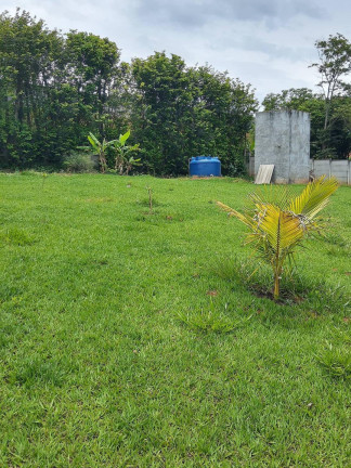 Imagem Chácara com 4 Quartos à Venda, 8.000 m² em Encosta Do Sol - Itatiba Imagem Chácara com 4 Quartos à Venda, 8.000 m² em Encosta Do Sol - Itatiba