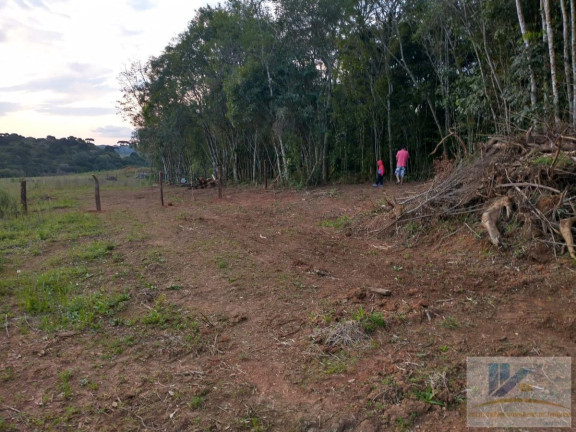 Imagem Terreno à Venda, 43.000 m² em Contenda - São José Dos Pinhais