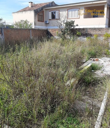 Imagem Terreno à Venda, 250 m² em Areal - Pelotas Imagem Terreno à Venda, 250 m² em Areal - Pelotas