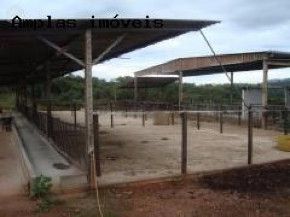 Imagem Fazenda à Venda,  em Queiroz - Mateus Leme