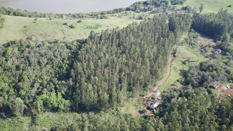 Imagem Terreno à Venda, 40.000 m² em Interior - Arabuta Imagem Terreno à Venda, 40.000 m² em Interior - Arabuta