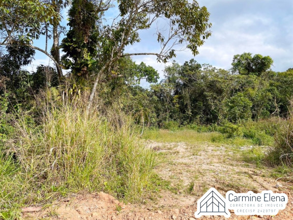 Imagem Terreno à Venda, 150 m² em Tabatinga - Ubatuba