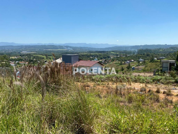 Imagem Terreno à Venda, 369 m² em Mina Do Mato - Criciúma