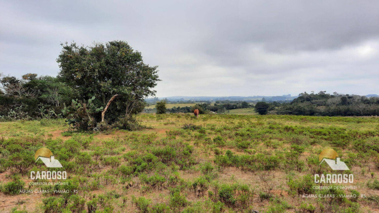 Imagem Fazenda à Venda, 90.000 m² em águas Claras - Viamão Imagem Fazenda à Venda, 90.000 m² em águas Claras - Viamão