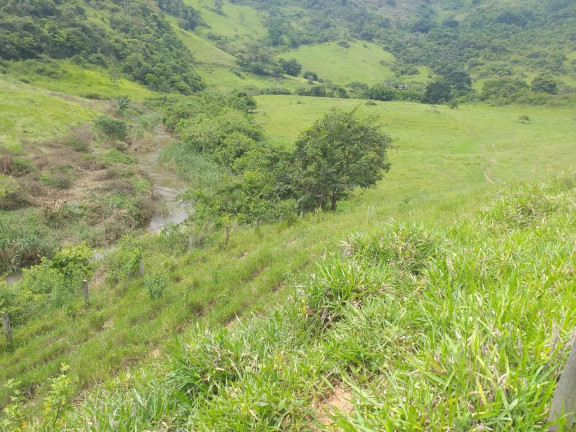 Imagem Fazenda à Venda, 1.930.000 m² em Centro - Trajano De Morais Imagem Fazenda à Venda, 1.930.000 m² em Centro - Trajano De Morais