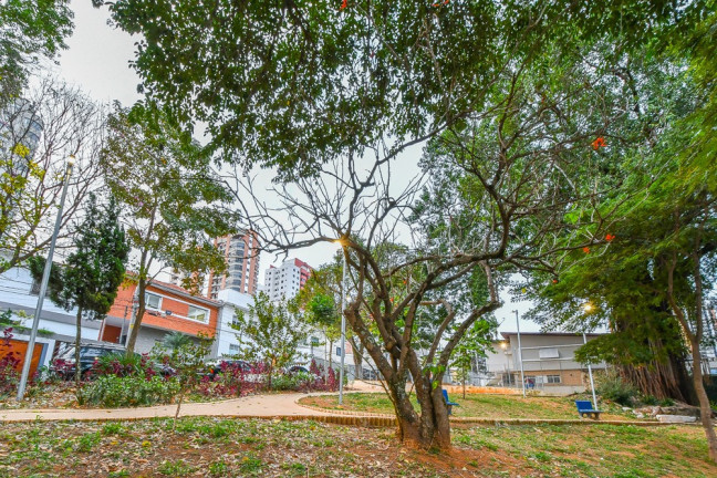 Imagem Casa com 4 Quartos à Venda, 290 m² em Vila Mariana - São Paulo Imagem Casa com 4 Quartos à Venda, 290 m² em Vila Mariana - São Paulo