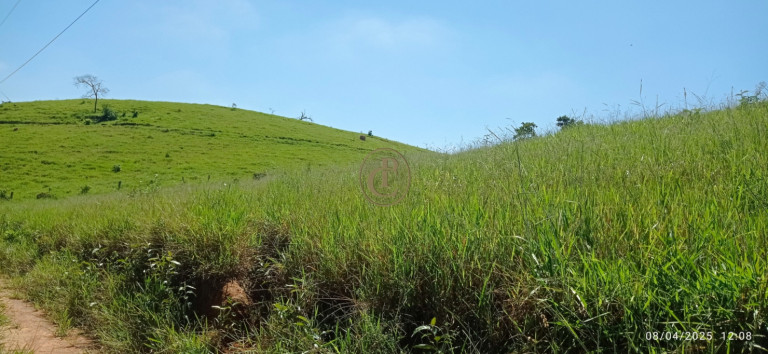 Imagem Chácara à Venda, 63.000 m² em Centro - Santa Branca Imagem Chácara à Venda, 63.000 m² em Centro - Santa Branca