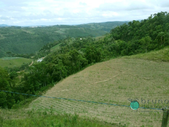 Imagem Imóvel com 2 Quartos à Venda, 425.000 m² em Zona Rural - Alfredo Wagner Imagem Imóvel com 2 Quartos à Venda, 425.000 m² em Zona Rural - Alfredo Wagner