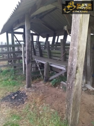 Imagem Imóvel com 2 Quartos à Venda, 4.140.000 m² em Centro - Piratini
