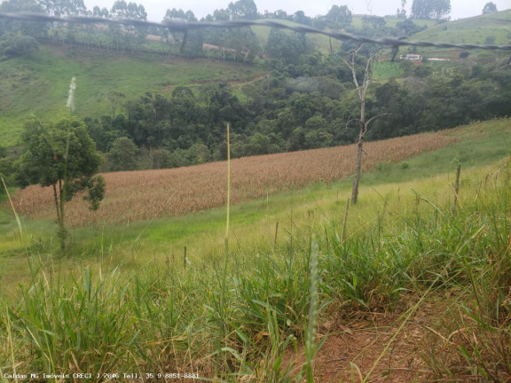 Imagem Chácara à Venda, 5 m² em Taquari - Caldas Imagem Chácara à Venda, 5 m² em Taquari - Caldas