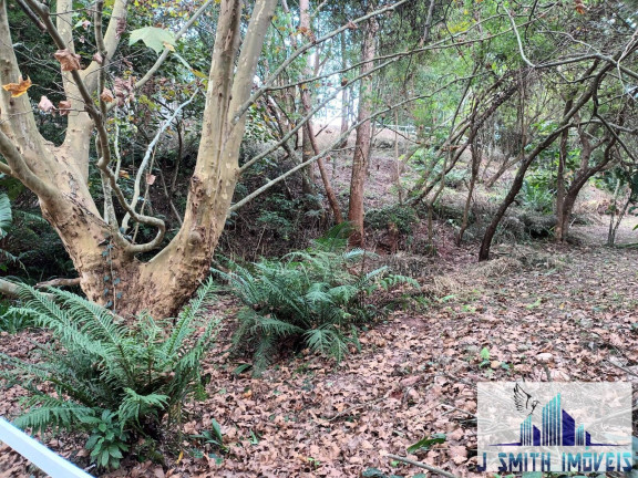 Imagem Terreno em Condomínio à Venda, 1 m² em Palos Verdes - Carapicuíba Imagem Terreno em Condomínio à Venda, 1 m² em Palos Verdes - Carapicuíba