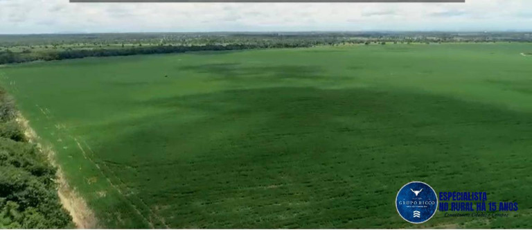 Imagem Fazenda à Venda, 228 m² em Zona Rural - São Miguel Do Araguaia Imagem Fazenda à Venda, 228 m² em Zona Rural - São Miguel Do Araguaia