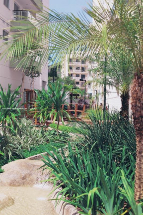 Imagem Apartamento à Venda, em Freguesia - Rio De Janeiro Imagem Apartamento à Venda, em Freguesia - Rio De Janeiro