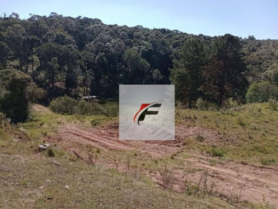 Imagem Chácara com 3 Quartos à Venda, 242.000 m² em Centro - Lapa Imagem Chácara com 3 Quartos à Venda, 242.000 m² em Centro - Lapa