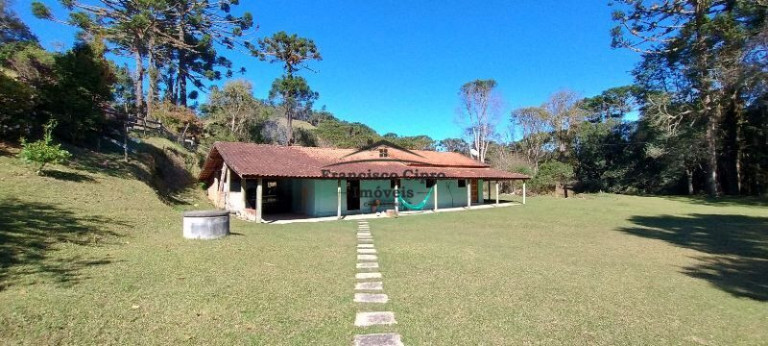 Imagem Imóvel com 3 Quartos à Venda, 16.000 m² em Sertão De Santa Barbara - Cunha Imagem Imóvel com 3 Quartos à Venda, 16.000 m² em Sertão De Santa Barbara - Cunha