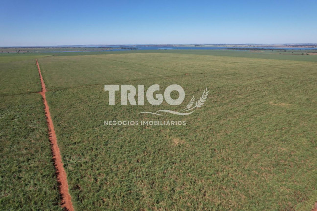 Imagem Fazenda à Venda, 72 m² em Zona Rural - Quirinópolis Imagem Fazenda à Venda, 72 m² em Zona Rural - Quirinópolis