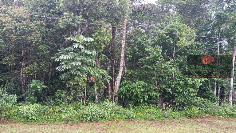 Imagem Terreno à Venda, 6.640 m² em Tarumã Açu - Manaus