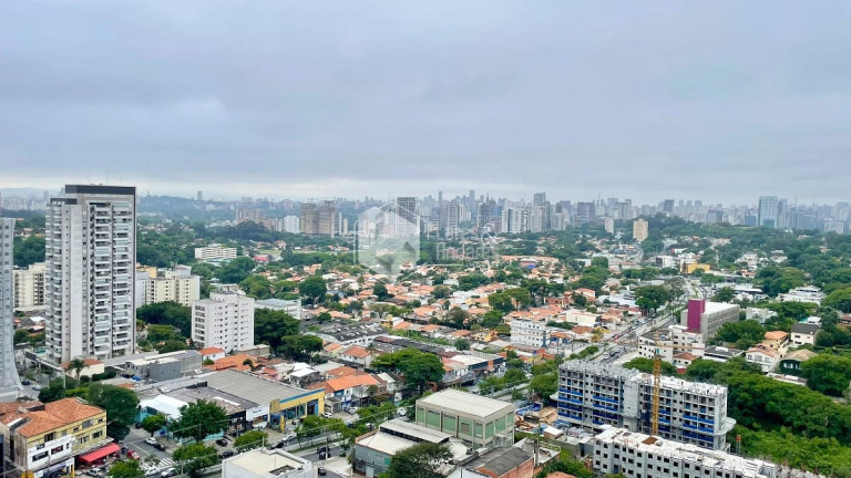 Imagem Apartamento com 3 Quartos à Venda, 170 m² em Vila Progredior - São Paulo