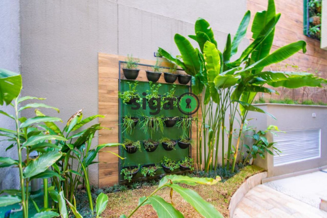 Imagem Apartamento com 1 Quarto à Venda, 35 m² em Aclimação - São Paulo Imagem Apartamento com 1 Quarto à Venda, 35 m² em Aclimação - São Paulo