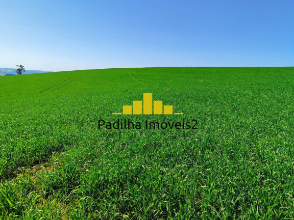 Imagem Fazenda à Venda, 136 m² em Capão Bonito Imagem Fazenda à Venda, 136 m² em Capão Bonito