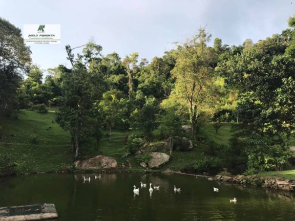 Imagem Chácara com 3 Quartos à Venda, 13.000 m² em Sorocamirim - São Roque Imagem Chácara com 3 Quartos à Venda, 13.000 m² em Sorocamirim - São Roque