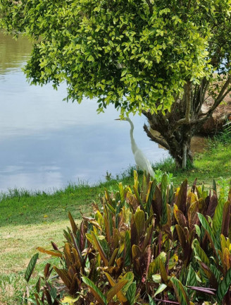 Imagem Terreno em Condomínio à Venda, 2.280 m² em San Fernando Valley - Atibaia Imagem Terreno em Condomínio à Venda, 2.280 m² em San Fernando Valley - Atibaia