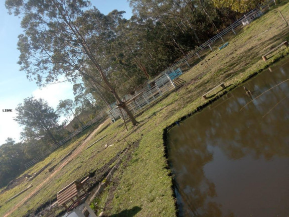 Imagem Chácara com 1 Quarto à Venda, em Jardim Botucatu - São Paulo Imagem Chácara com 1 Quarto à Venda, em Jardim Botucatu - São Paulo